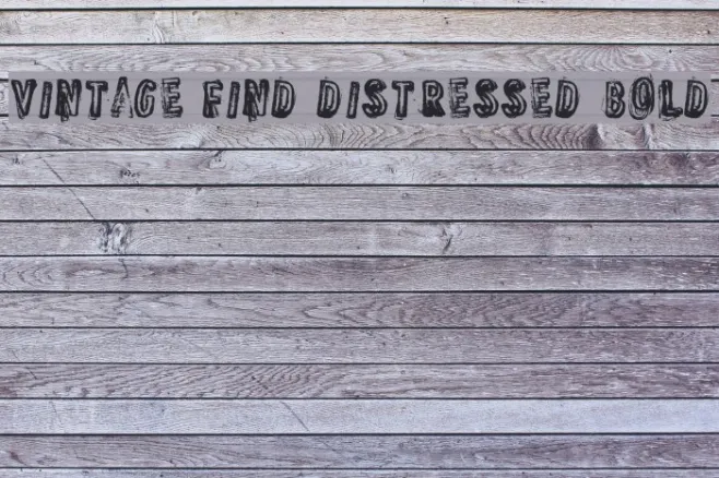 VINTAGE FIND DISTRESSED Bold Example 2