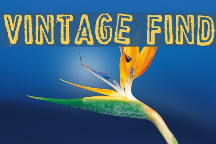 VINTAGE FIND Example 2