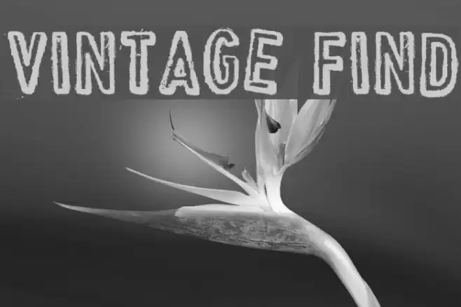 VINTAGE FIND Font examples