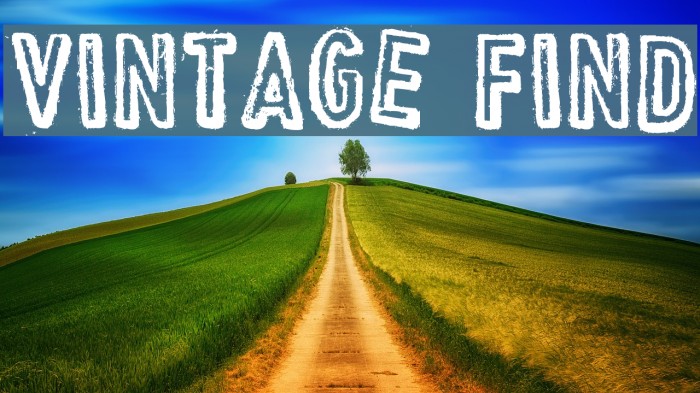 VINTAGE FIND Example 3