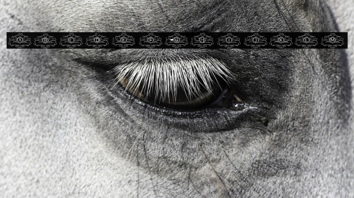 VINTAGE MONOGRAM Example 1