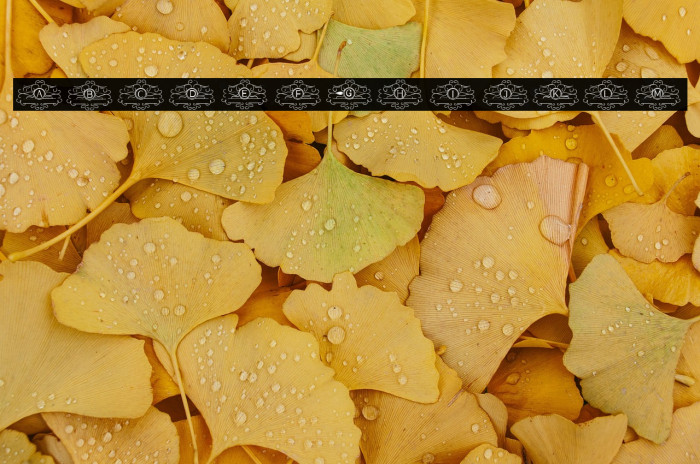 VINTAGE MONOGRAM Example 2