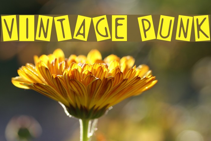 VINTAGE PUNK Font examples