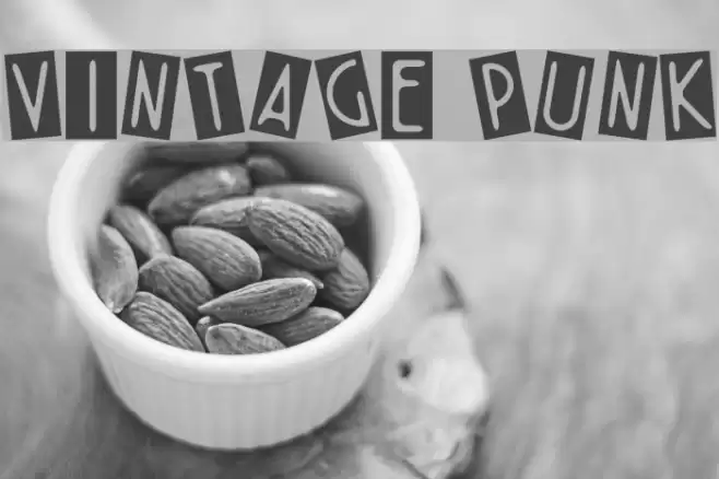 VINTAGE PUNK Font examples