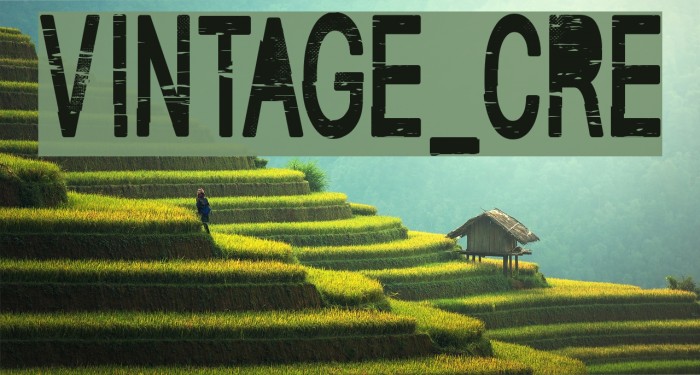 VINTAGE_CRE Font examples