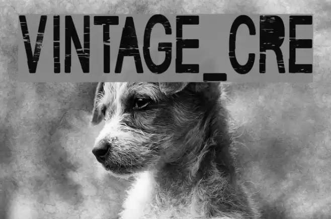 VINTAGE_CRE Font examples