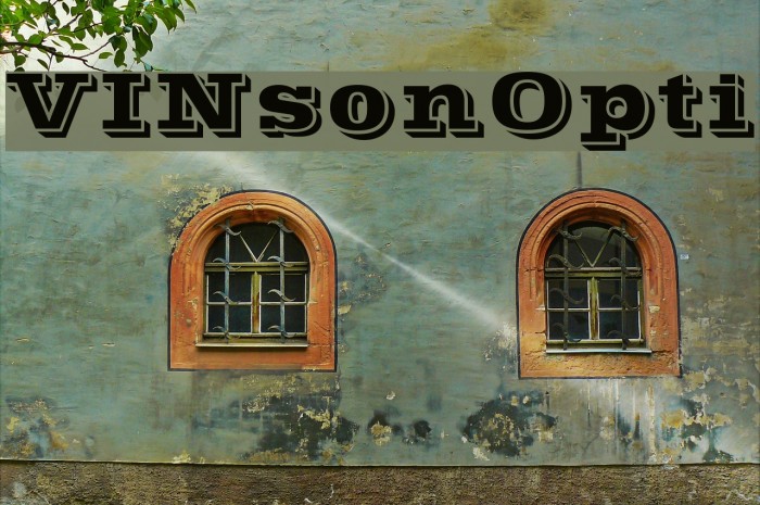 VINsonOpti لخطوط تنزيل examples