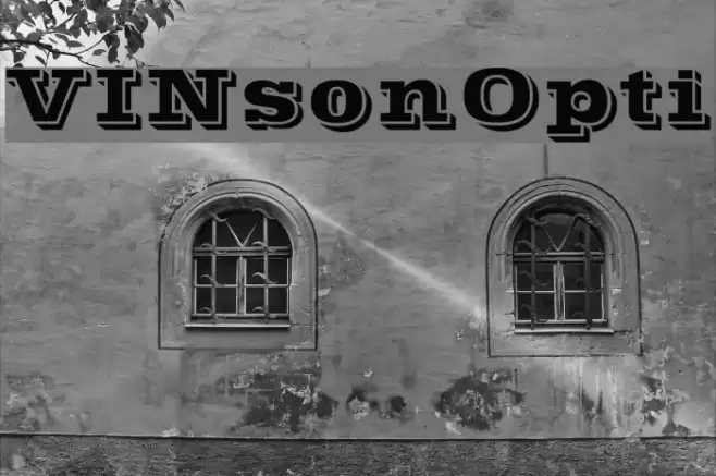 VINsonOpti خط examples