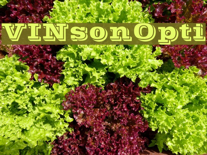 VINsonOpti لخطوط تنزيل examples