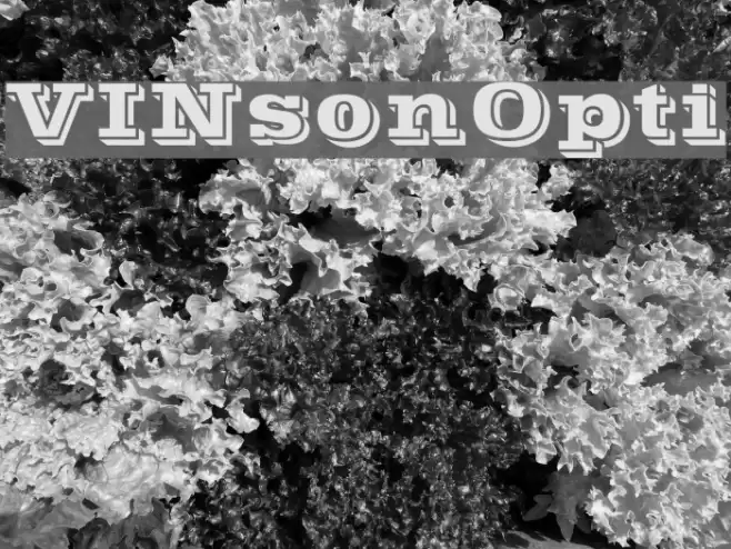 VINsonOpti خط examples