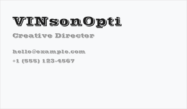 VINsonOpti Business Card