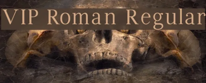 VIP Roman Regular Example 2