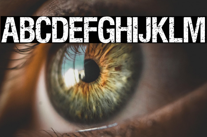 VIPER NORA Example 2