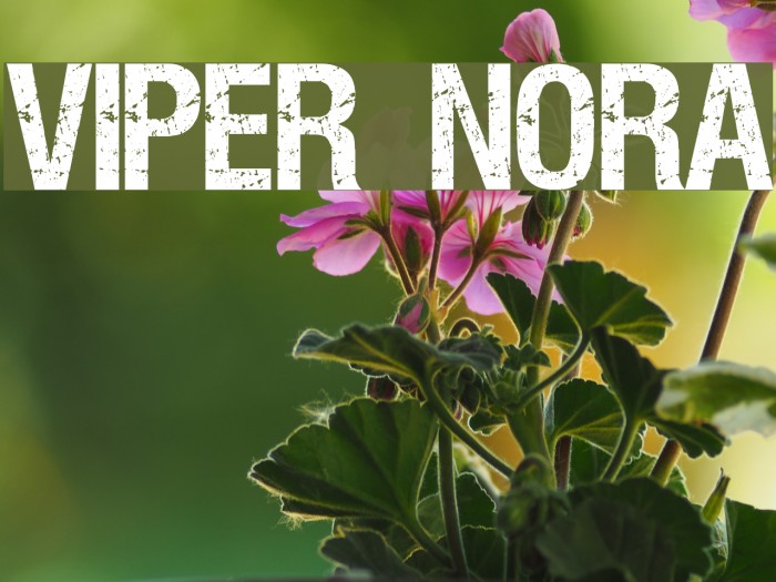 VIPER NORA Example 1