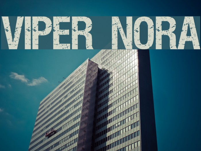 VIPER NORA Example 2