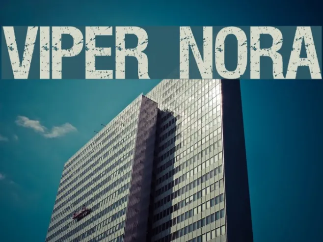 VIPER NORA Example 2