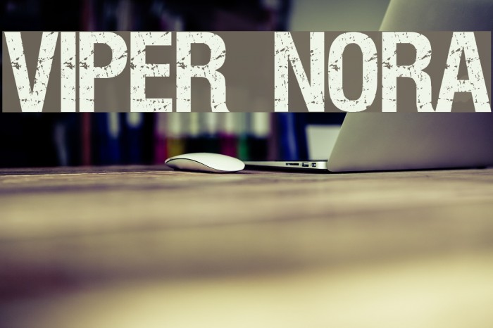 VIPER NORA Example 3
