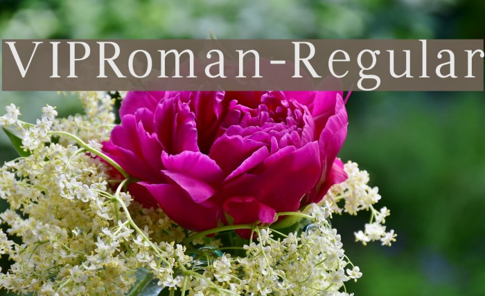 VIPRoman-Regular Font examples