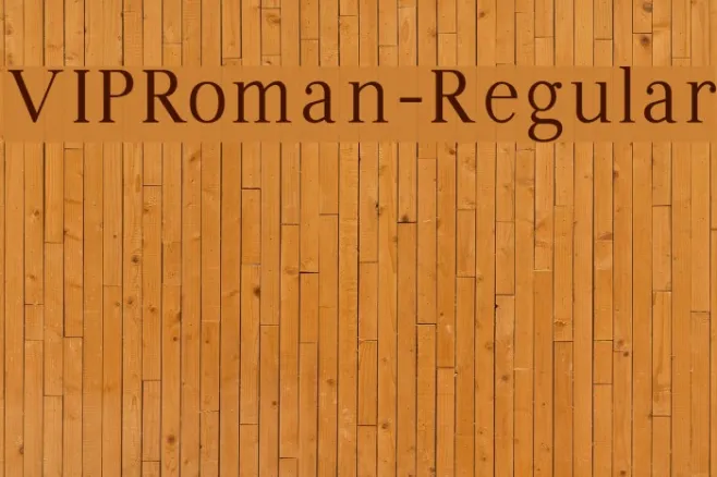 VIPRoman-Regular Example 2