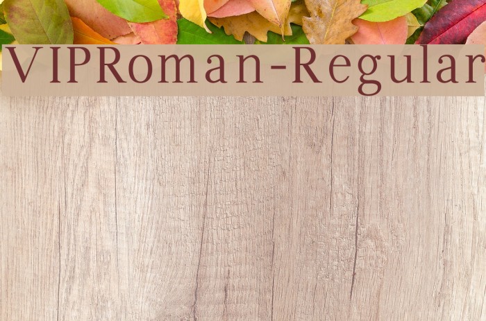 VIPRoman-Regular Font examples