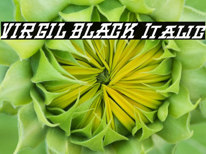 VIRGIL BLACK Italic Example 1
