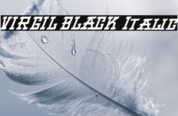 VIRGIL BLACK Italic Example 2