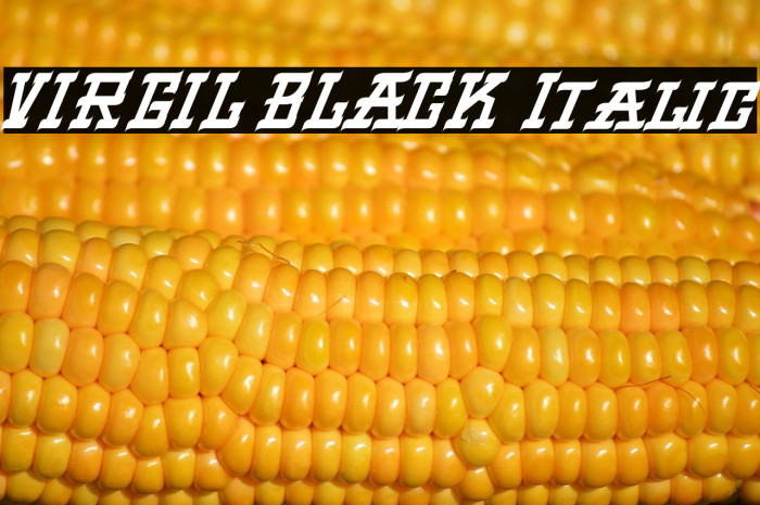 VIRGIL BLACK Italic Example 3