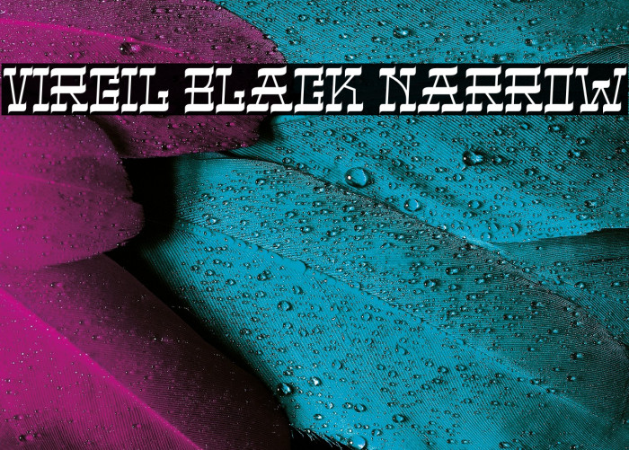 VIRGIL BLACK NARROW Example 1