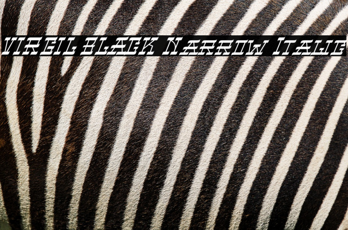 VIRGIL BLACK Narrow Italic Example 1