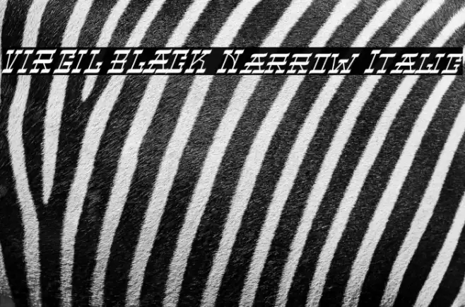VIRGIL BLACK Narrow Italic Font examples