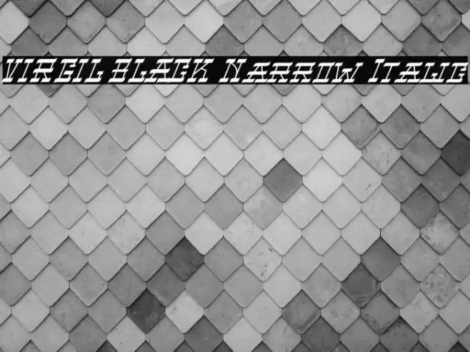 VIRGIL BLACK Narrow Italic Font examples