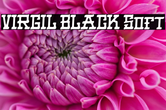 VIRGIL BLACK Soft Example 2