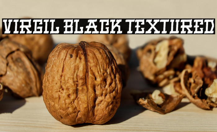 VIRGIL BLACK TEXTURED Example 1