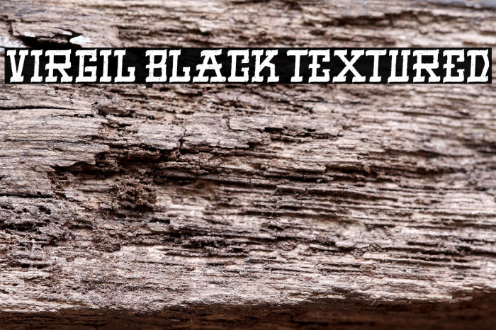 VIRGIL BLACK TEXTURED Example 3