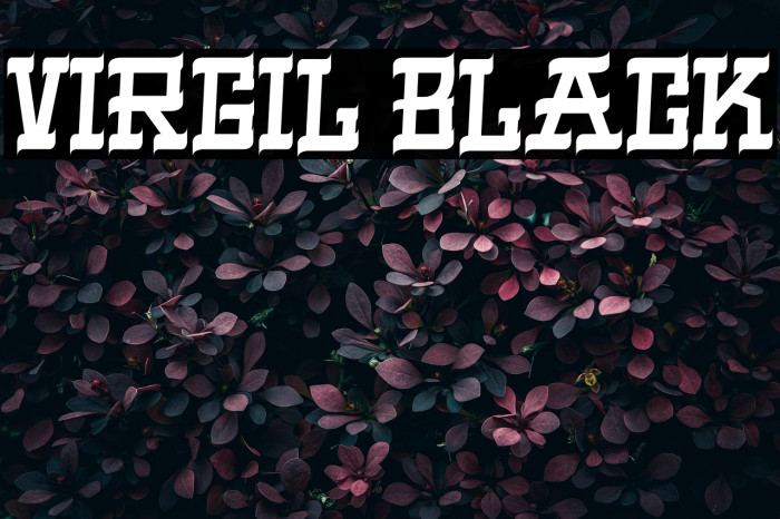 VIRGIL BLACK Example 2