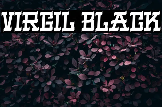 VIRGIL BLACK Example 2