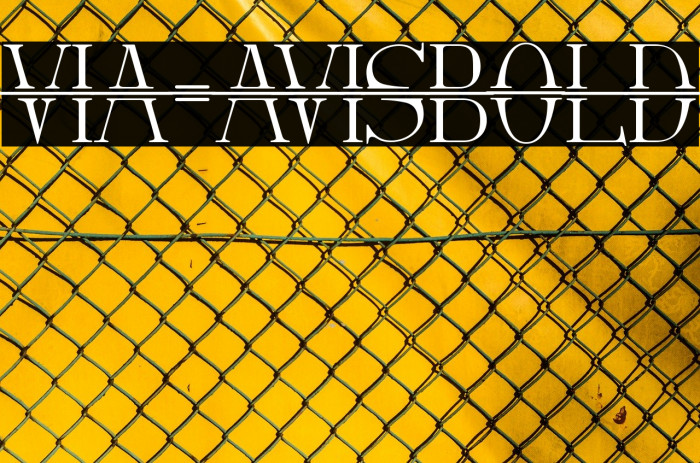 Via-AVisBold Font examples