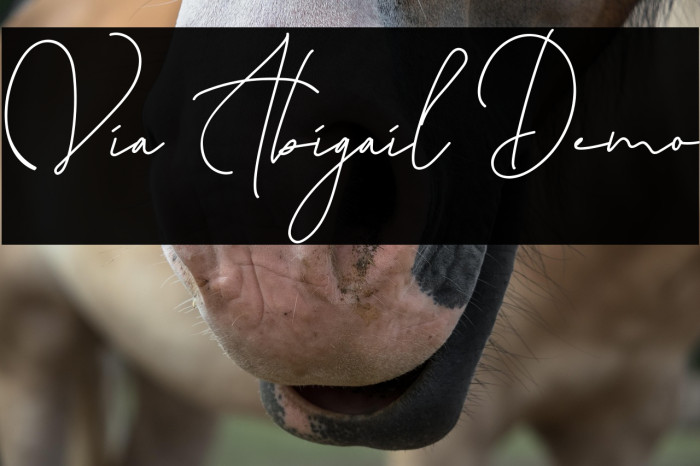 Via Abigail Demo Fuentes examples