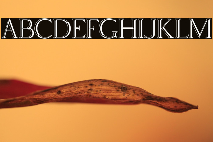 Via Appia Regular Example 2