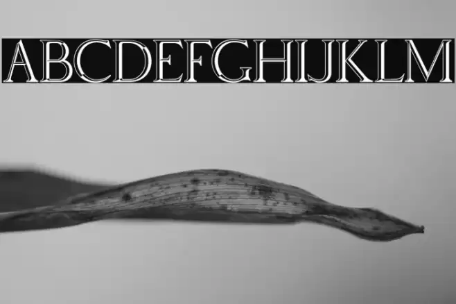 Via Appia Regular Font examples