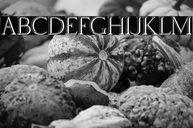 Via Appia Regular Font examples