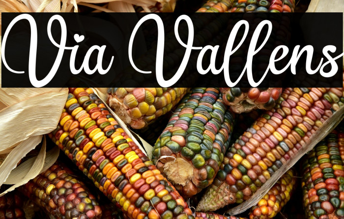 Via Vallens Example 1