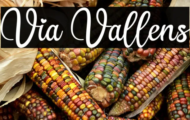 Via Vallens Example 1