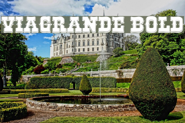 ViaGrande Bold Example 3