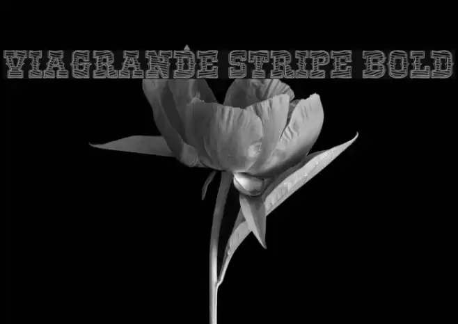 ViaGrande Stripe Bold Font examples