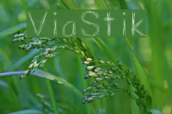 ViaStik Example 1