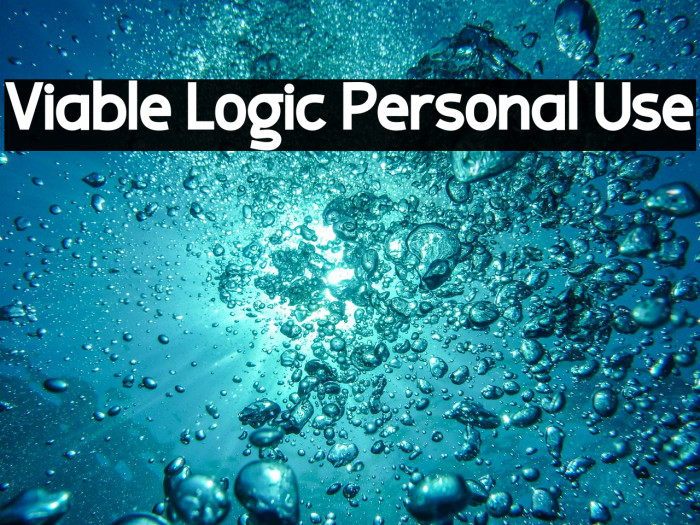Viable Logic Personal Use Example 2