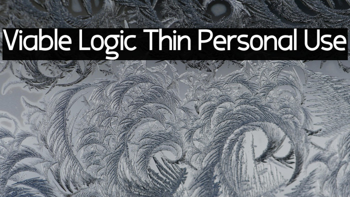 Viable Logic Thin Personal Use Example 1