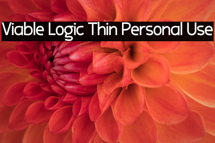 Viable Logic Thin Personal Use Example 2