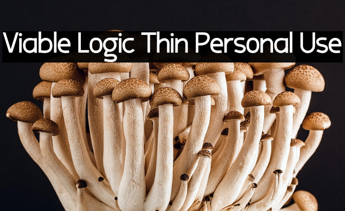 Viable Logic Thin Personal Use Example 3